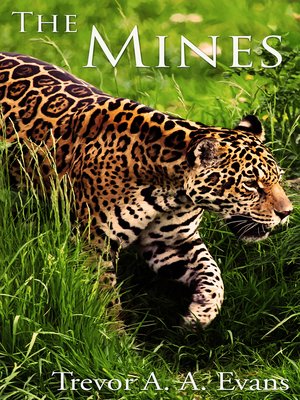 cover image of The Mines